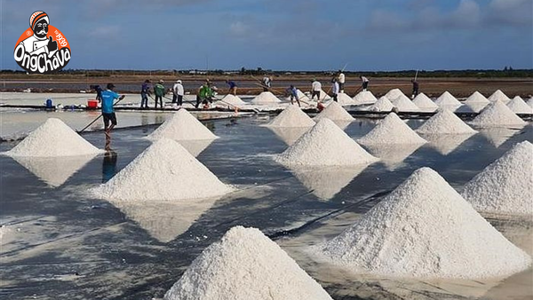 Khám Phá Sự Kỳ Diệu Của Muối Hầm & Rang Rừng Sác Ông Chà Và