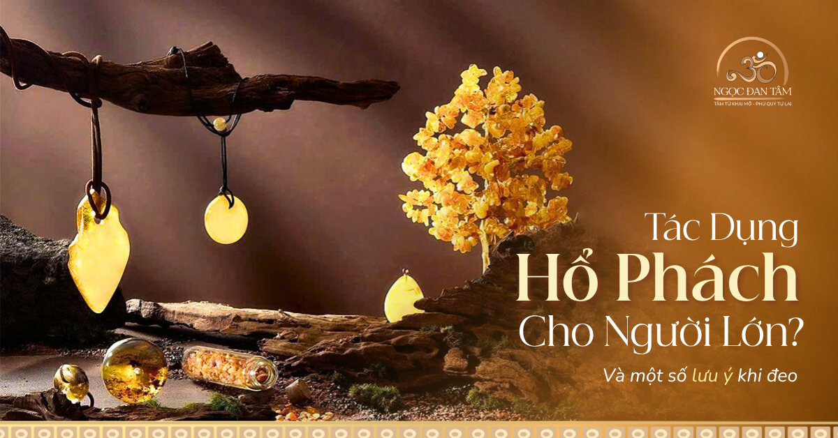 Tác Dụng Hổ Phách Cho Người Lớn? Một Số Lưu Ý Khi Đeo Hổ Phách