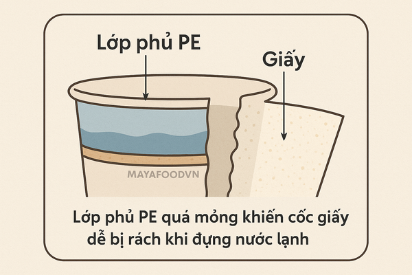 Lớp phủ PE quá mỏng khiến cốc giấy dễ bị rách khi đựng nước lạnh     Hỏi ChatGPT