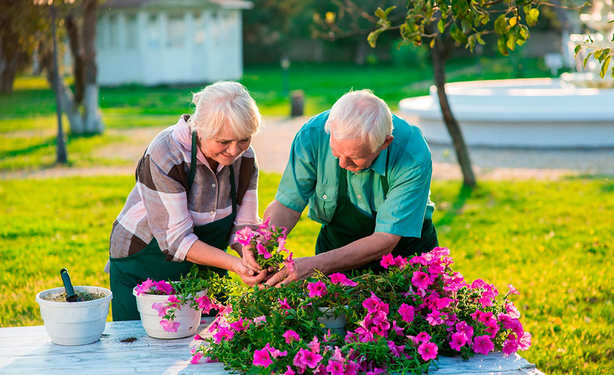 56 tuổi, thân thể bước vào thời kỳ “bảo dưỡng”: Chăm sóc sức khỏe và gìn giữ tốt 2 chỗ, hạn chế làm 3 điều