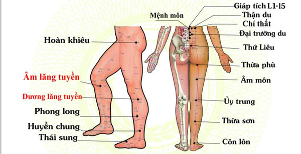 Điện Xung Vật Lý Trị Liệu Là Gì? Nguyên Lý và Ứng Dụng Trong Y Học Hiện Đại
