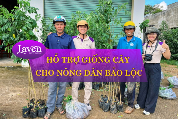 Laven Coffee Hỗ Trợ Cây Giống Cho Một Số Bà Con Nông Dân Tại Bảo Lộc