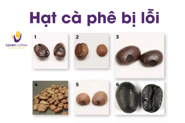 Thường uống cà phê nhưng bạn đã biết thế nào là các vị lỗi ở trong cà phê