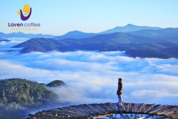 Kinh nghiệm săn mây Langbiang ở Đà Lạt: trải nghiệm cà phê trên mây bồng bềnh