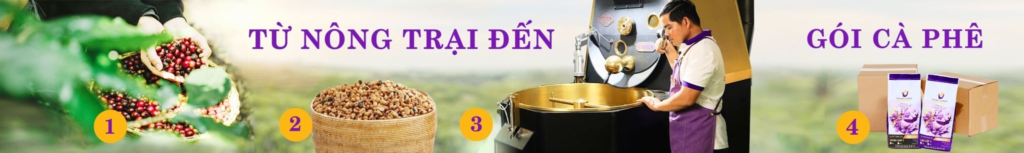 Cà phê sỉ cho quán