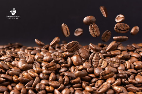 thanh-phan-trong-hat-arbica-robusta