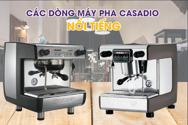 sua-may-pha-casadio-quan-9
