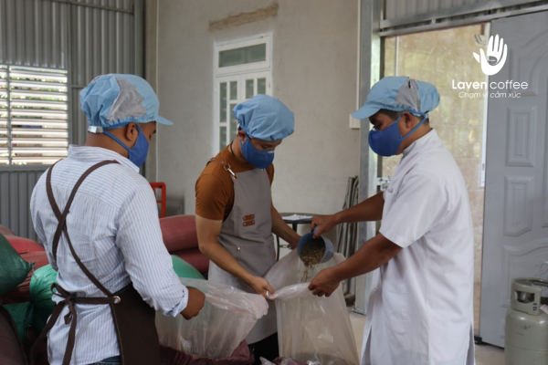 cac-loi-trong-ca-phe