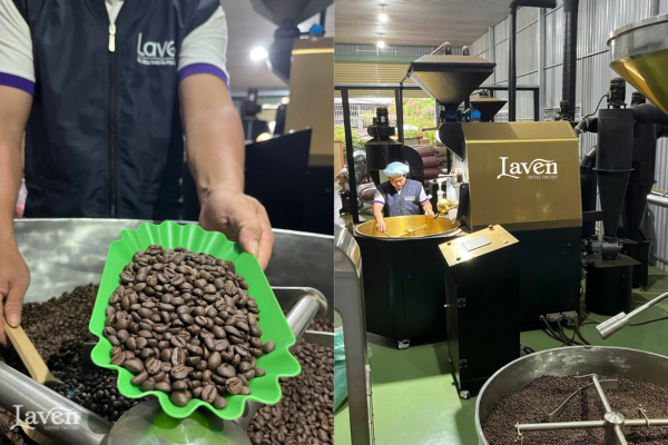 laven-coffee-don-vi-dat-cqi-q-sca-rang-ca-phe-chuan-quoc-te