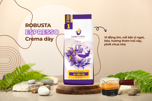 ca-phe-si-robusta-honey-thuong-hang-gold-1-gu-hien-dai