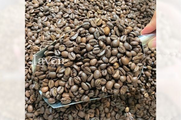 Robusta Cao Cấp 1 Natural vị thuần đắng đậm, thơm, béo laven