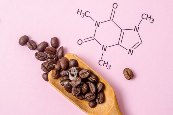 ca-phe-giam-can-laven-coffee