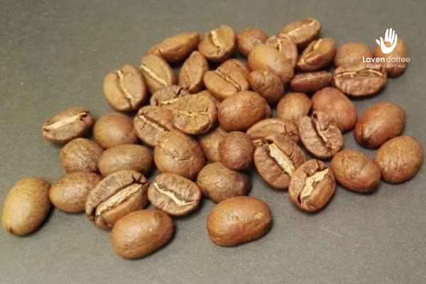 cac-loi-trong-ca-phe