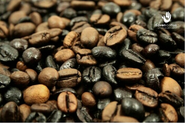 cac-loi-trong-ca-phe