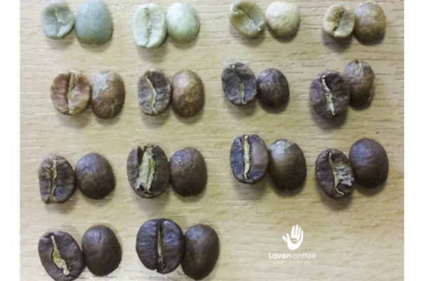 cac-loi-trong-ca-phe