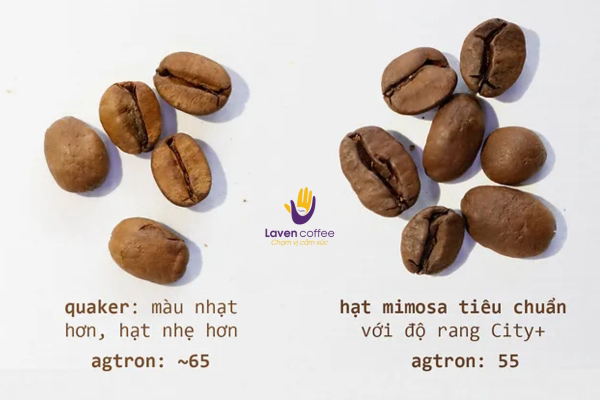 cac-loi-trong-ca-phe