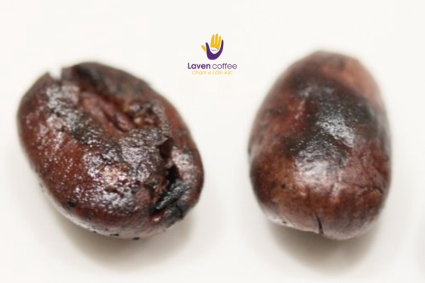 cac-loi-trong-ca-phe