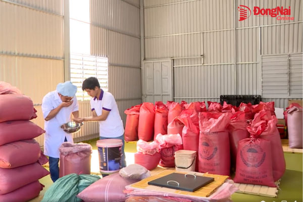 Nhà máy cà phê rang nguyên chất đảm bảo vệ sinh an toàn thực phẩm