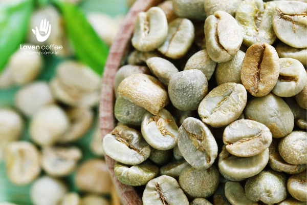 cac-loi-trong-ca-phe