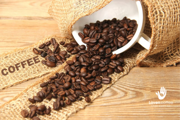 thanh-phan-trong-hat-arbica-robusta