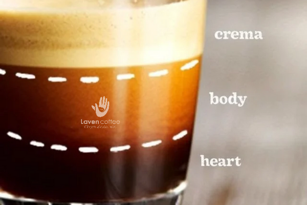 bat-mi-lop-crema-trong-tach-espresso-chuan-ca-phe-pha-may-co-gi