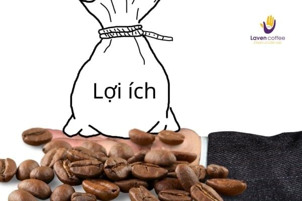 thuc-uong-giup-tinh-tao-giam-buon-ngu-ca-phe-hay-nuoc-tang-luc