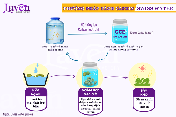 Quy trinh tach cafein của dòng ca phe decaf