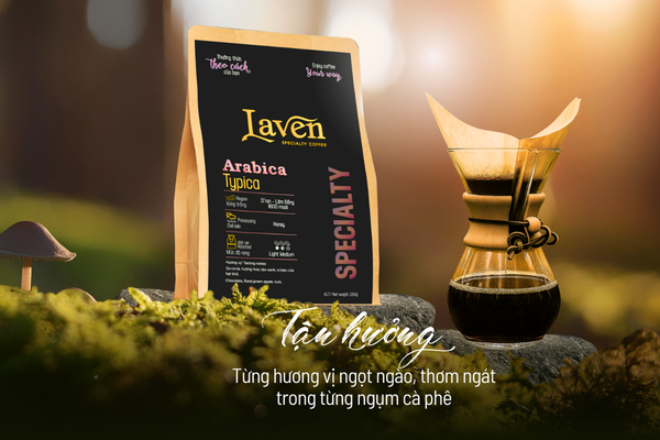 ca-phe-arabica-giong-typica-cau-dat-goi-250g-specialty-laven-coffee