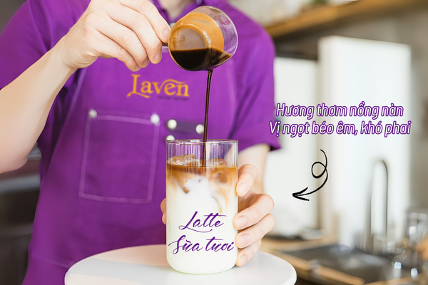 ca-phe-arabica-giong-typica-cau-dat-goi-250g-specialty-laven-coffee