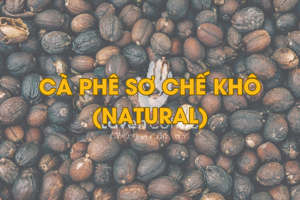 cach-phan-loai-ca-phe-nguyen-chat-tu-3-phuong-phap-so-che-ca-phe-co-ban