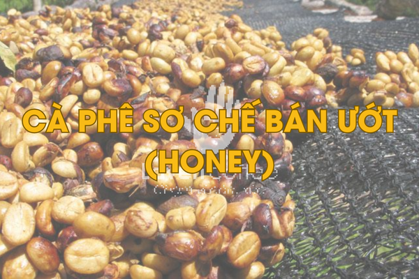 cach-phan-loai-ca-phe-nguyen-chat-tu-3-phuong-phap-so-che-ca-phe-co-ban