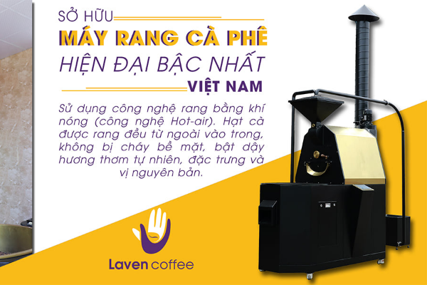 thanh-phan-trong-hat-arbica-robusta