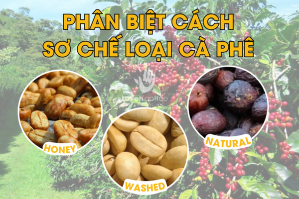ca-phe-si-binh-duong
