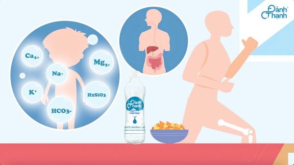 Lợi ích của Nước khoáng thiên nhiên bổ sung gas Đảnh Thạnh trong đời sống hiện đại