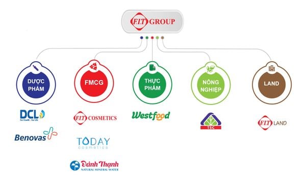 FIT Group – Tập đoàn sở hữu các công ty có tiềm năng tăng trưởng cao