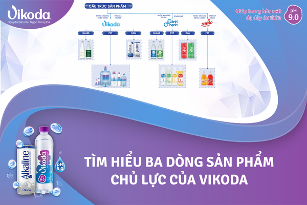 Tìm hiểu ba dòng sản phẩm chủ lực của Vikoda