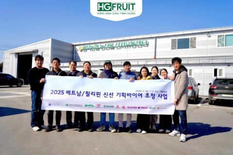 Trực tiếp tại Nonsan: Hoàng Giang Fruit khám phá quy trình trồng & xuất khẩu dâu tây Hàn Quốc
