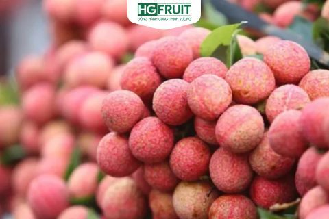 Top 5 loại hoa quả mùa hè miền Bắc tươi ngon không thể bỏ qua