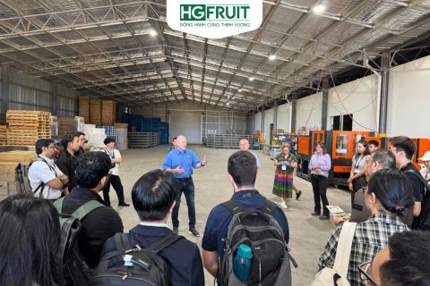 Hoàng Giang Fruit và hành trình khám phá những vườn nho tuyệt hảo tại Mildura, Victoria, Australia