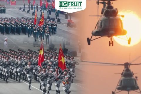 Tất tần tật về lễ diễu binh 30/4/2025 tại Thành phố Hồ Chí Minh