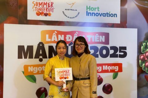 Mận Úc chính thức nhập khẩu về Việt Nam - Dấu mốc quan trọng cho thị trường trái cây nhập khẩu