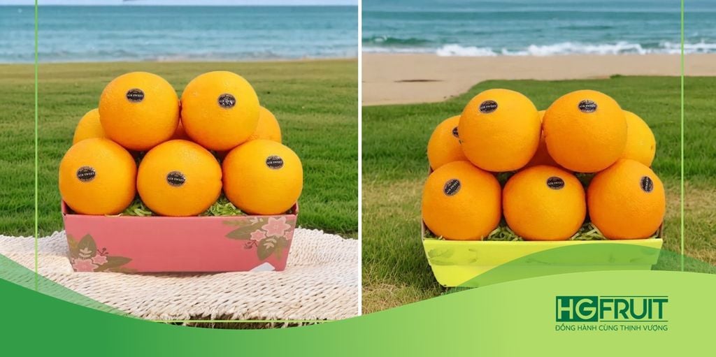 CAM NAVEL VÀ GIÁ TRỊ DINH DƯỠNG