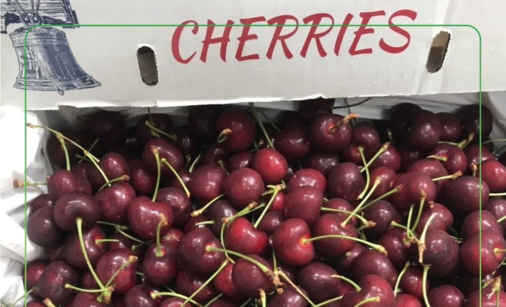 CHĂM SÓC SỨC KHỎE CÙNG CHERRY CHUÔNG WASHINGTON MỸ