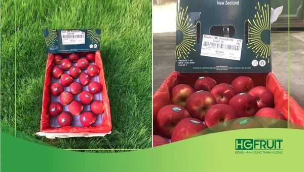 GIÁ TRỊ DINH DƯỠNG & CÔNG DỤNG CỦA TÁO DAZZLE MỸ