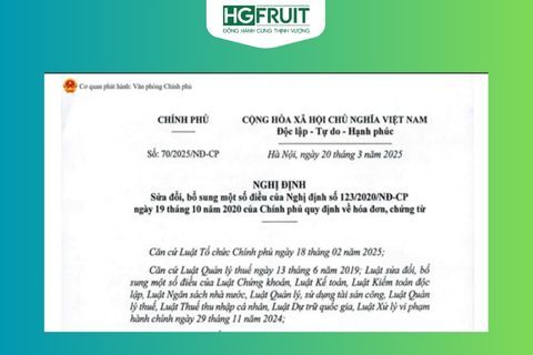 Tóm tắt 9 điểm mới của Nghị định 70/2025/NĐ-CP về hóa đơn, chứng từ