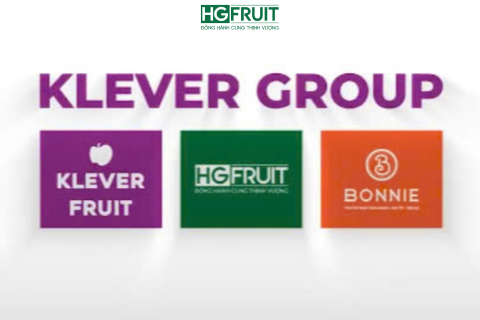 Hành Trình 20 Năm Klever Group: Định Nghĩa Chuẩn Mực Trái Cây Nhập Khẩu Tại Việt Nam