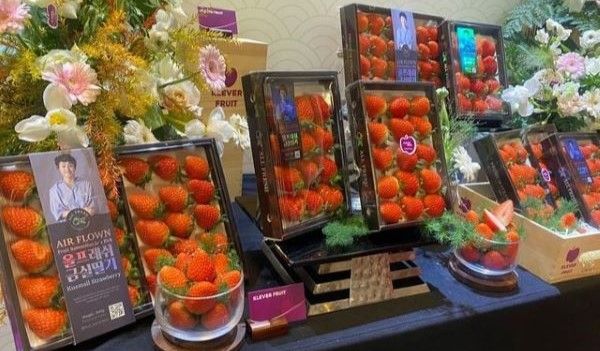 Gặp gỡ một trong những người thẩm định hương vị trái cây đầu tiên tại Hàn Quốc