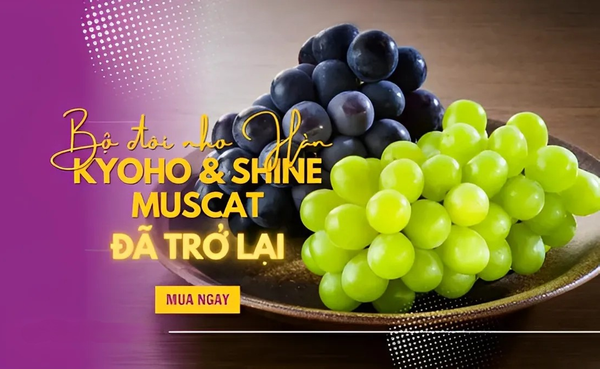 BỘ ĐÔI NHO HÀN QUỐC THƯỢNG HẠNG ĐÃ TRỞ LẠI