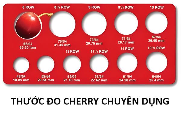 SIZE CHERRY MỸ - CÁCH TÍNH SIZE QUẢ