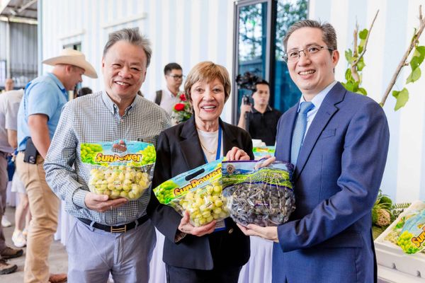 HG FRUIT TIẾP ĐÓN PHÁI ĐOÀN THƯƠNG MẠI NÔNG NGHIỆP HOA KỲ USDA 2024
